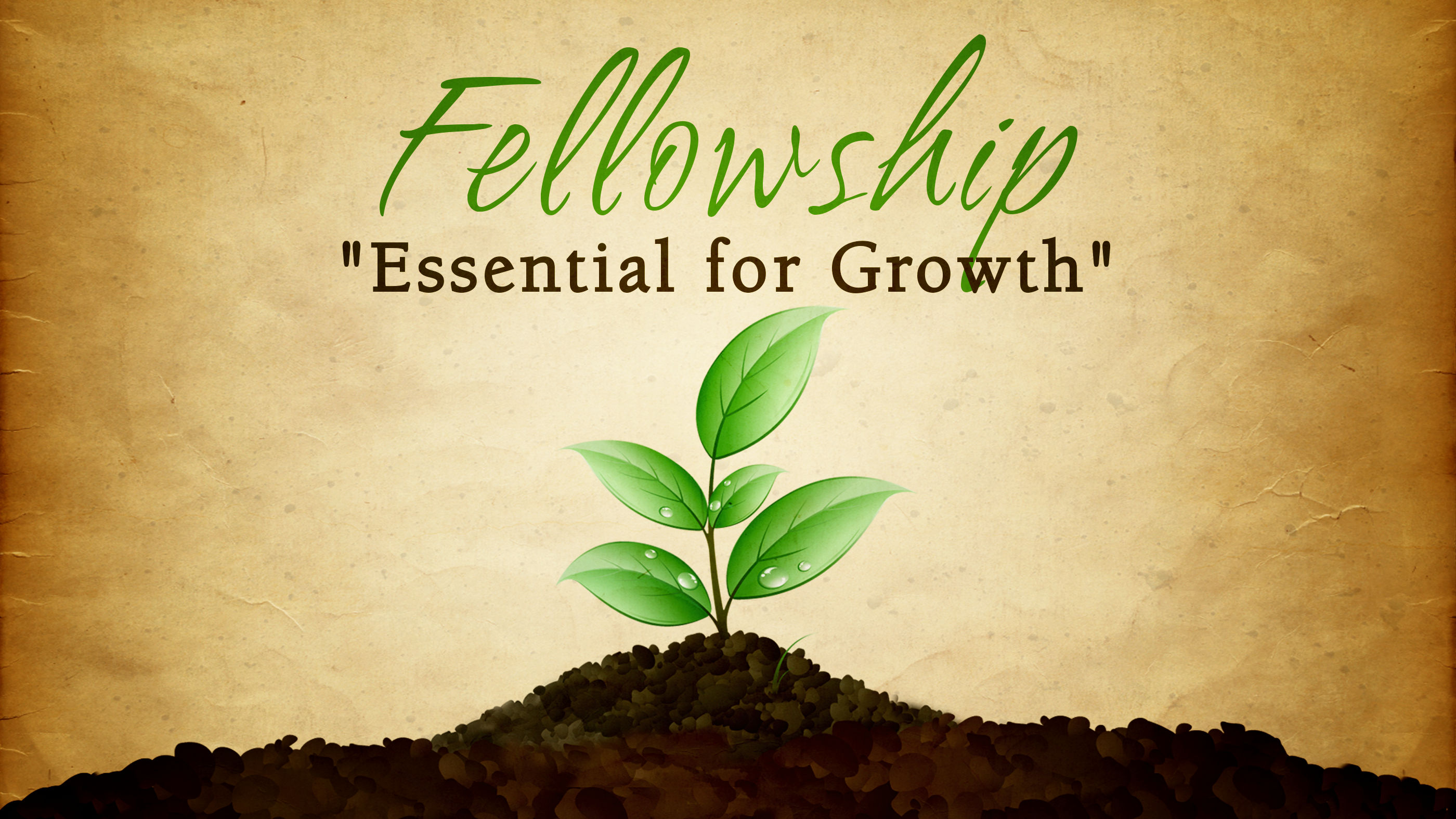 Fellowship Fellowship